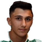 M. Sarıkaya