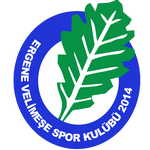 Ergene Velimeşespor genel puan durumu